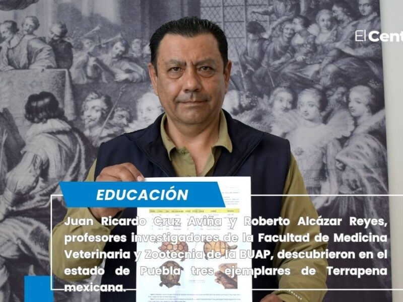 Juan Ricardo Cruz Aviña y Roberto Alcázar Reyes, profesores investigadores de la Facultad de Medicina Veterinaria y Zootecnia de la BUAP, descubrieron en el estado de Puebla tres ejemplares de Terrapena mexicana