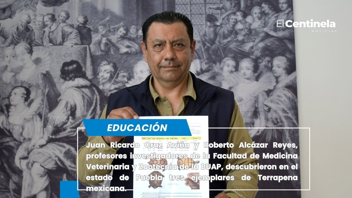 Juan Ricardo Cruz Aviña y Roberto Alcázar Reyes, profesores investigadores de la Facultad de Medicina Veterinaria y Zootecnia de la BUAP, descubrieron en el estado de Puebla tres ejemplares de Terrapena mexicana