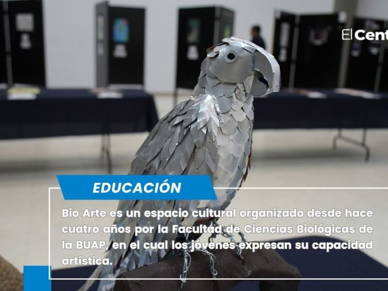 BioArte, espacio que impulsa la capacidad artística de los estudiantes